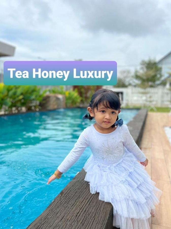 Willa Tea Honey Luxury Melaka Zewnętrze zdjęcie